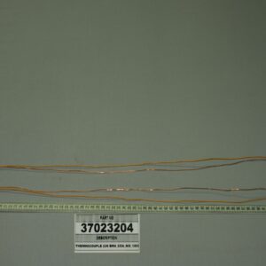 37023204